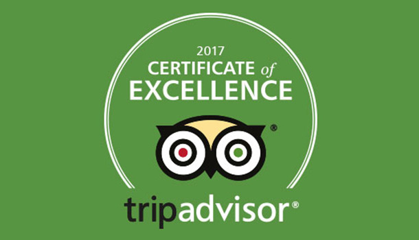Image result for tripadvisor certificate of excellence 2017 logo